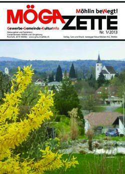 GEWERBE-GEMEINDE-KULTURINFO - NR. 1/2013 - GEWERBEVEREIN | MÖHLIN