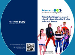 Aktuelle Rechtslage bei Jugend-reisen für Jugendliche bis 18 Jahre im In- und Ausland