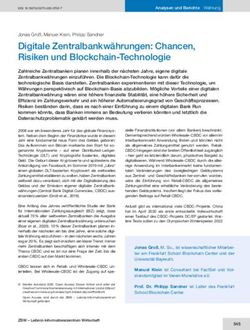 Digitale Zentralbankw&auml;hrungen: Chancen, Risiken und Blockchain-Technologie