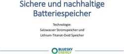 Sichere und nachhaltige Batteriespeicher - Technologie: Salzwasser Stromspeicher und Lithium-Titanat-Oxid Speicher