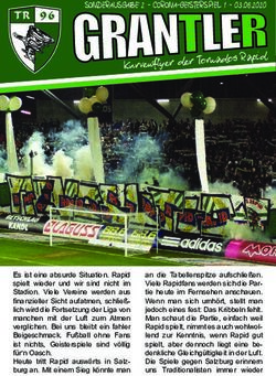 Kurvenflyer der Tornados Rapid - SONDERAUSGABE 2 - CORONA-GEISTERSPIEL 1 03.06.2020