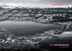 Gesch&auml;ftsbericht 2017 - gerade unterwegs - Schweizerische S&uuml;dostbahn AG