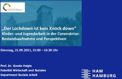 "Der Lockdown ist kein Knock down" - Kinder- und Jugendarbeit in der Coronakrise: Bestandsaufnahme und Perspektiven - HAW ...