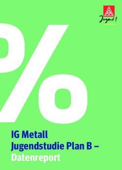 %IG Metall Jugendstudie Plan B - Datenreport