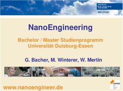NANOENGINEERING - WWW.NANOENGINEER.DE - UNI DUE