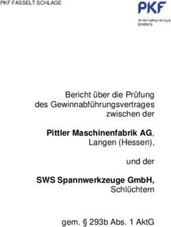Pittler Maschinenfabrik AG, Langen (Hessen), und der SWS Spannwerkzeuge GmbH, Schlüchtern - Bericht über die Prüfung des Gewinnabführungsvertrages ...