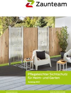 Pfl egeleichter Sichtschutz f&uuml;r Heim- und Garten - Katalog 2021 - Zaunteam