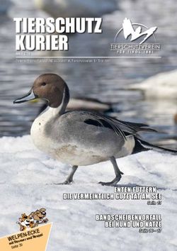 TierSchutz Kurier - Tierschutzverein für Tirol