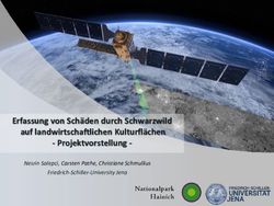 Erfassung von Schäden durch Schwarzwild auf landwirtschaftlichen Kulturflächen - Projektvorstellung - Nesrin Salepci, Carsten Pathe, Christiane ...