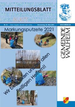 Donnerstag, 25. März 2021 - Nr. 12 - Gemeinde Walheim