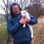 Der Wolf im Schafspelz - Weingut Umathum