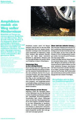 Amphibien mobil: ein Weg voller Hindernisse