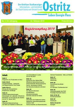 Neujahrsempfang 2019 - Ostritz