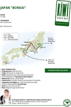 JAPAN "BONSAI" - Kiwitours