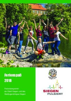 Ferienspaß 2018 Freizeitprogramm der Stadt Siegen und des Stadtjugendringes Siegen