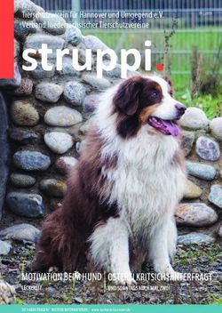 Struppi - MOTIVATION BEIM HUND - Tierheim Hannover