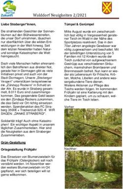 Walddorf Neuigkeiten 2/2021
