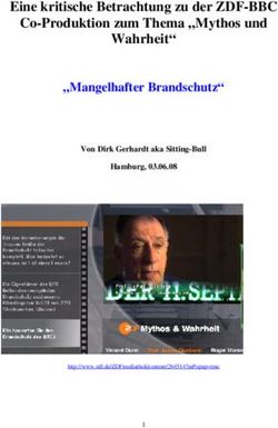 Eine kritische Betrachtung zu der ZDF-BBC Co-Produktion zum Thema "Mythos und Wahrheit" "Mangelhafter Brandschutz"