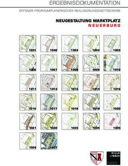 ERGEBNISDOKUMENTATION - NEUGESTALTUNG MARKTPLATZ OFFENER FREIRAUMPLANERISCHER REALISIERUNGSWETTBEWERB - Stadt Neuerburg
