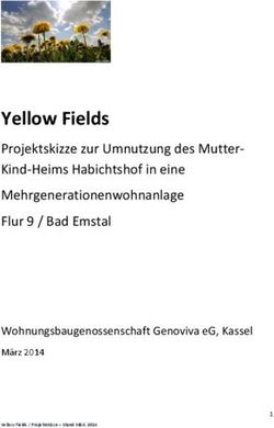 Yellow Fields Projektskizze zur Umnutzung des Mutter- Kind-Heims Habichtshof in eine Mehrgenerationenwohnanlage Flur 9 / Bad Emstal