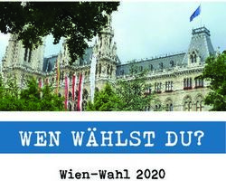 Wen W&auml;hlst du? Wien-Wahl 2020 - Vienna goes Europe