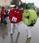 Die Moorenweiser - Gemeinde Moorenweis