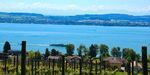 Im Fribourger Land 5 Tage ab € 297,- Lac Neuchatel - Greyerz, Murten-See und Lac Neuchatel