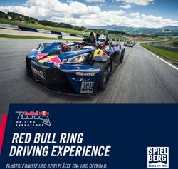 RED BULL RING DRIVING EXPERIENCE - FAHRERLEBNISSE UND SPIELPL&Auml;TZE ON- UND OFFROAD.