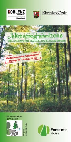 Jahresprogramm 2018 Wald- und Naturerlebnisse für Kinder und Erwachsene - Waldökostation Remstecken - Landesforsten Rheinland-Pfalz