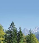 SICHER LEBEN - An Ihrer Seite - Medi Markt Service Nord & Ost GmbH