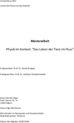 Masterarbeit Physik im Kontext: Das Leben der Tiere im Fluss