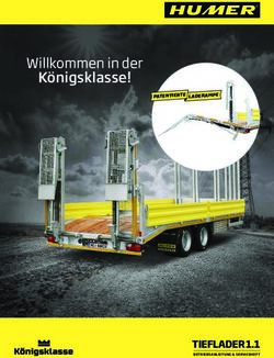 Willkommen in der K&ouml;nigsklasse! - TIEFLADER 1.1 - HUMER