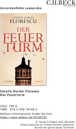 Catalin Dorian Florescu Der Feuerturm - Unverk&auml;ufliche Leseprobe - NET