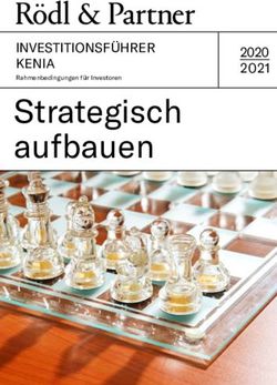 Strategisch aufbauen INVESTITIONSF&Uuml;HRER KENIA 2020 2021 - R&ouml;dl & Partner