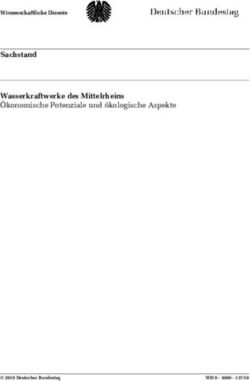 Sachstand Wasserkraftwerke des Mittelrheins Ökonomische Potenziale und ökologische Aspekte - Wissenschaftliche Dienste