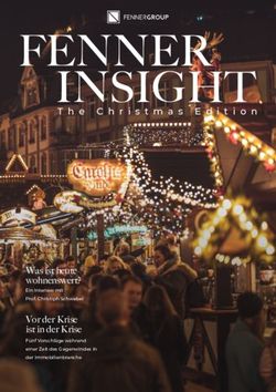 FENNER INSIGHT - fenner-group.de