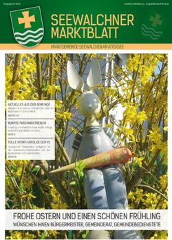 Seewalchner marktBlatt - Gesunde Gemeinde Seewalchen