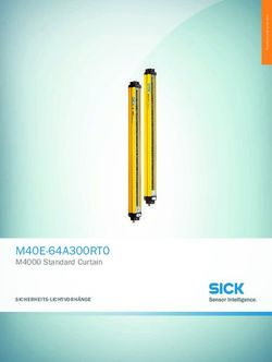 M40E-64A300RT0 M4000 Standard Curtain - SICHERHEITS-LICHTVORH&Auml;NGE