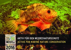 AKTIV FÜR DEN MEERESNATURSCHUTZ ACTIVE FOR MARINE NATURE CONSERVATION