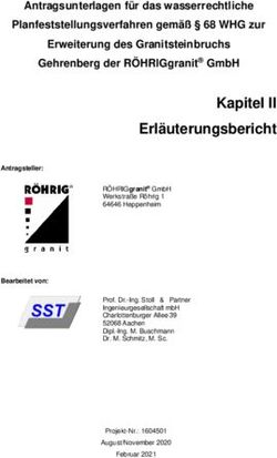 Erl&auml;uterungsbericht - Regierungspr&auml;sidium Darmstadt