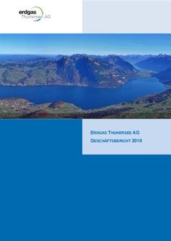 ERDGAS THUNERSEE AG GESCH&Auml;FTSBERICHT 2019