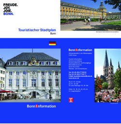 Touristischer Stadtplan - Bonn