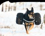 Katalog f&uuml;r Handel & Gewerbe - Julius-K9