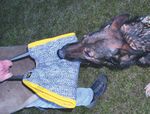 Katalog f&uuml;r Handel & Gewerbe - Julius-K9