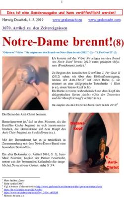 Notre-Dame brennt!(8) - Dies ist eine Sonderausgabe und kann ver&ouml;ffentlicht werden! - Gralsmacht