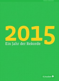 Ein Jahr der Rekorde 2015 - FH Vorarlberg