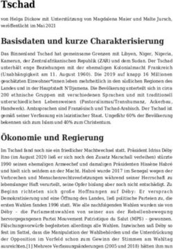 Tschad - Migration Control