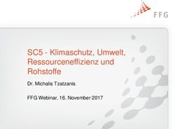 SC5 - Klimaschutz, Umwelt, Ressourceneffizienz und Rohstoffe - Dr. Michalis Tzatzanis FFG Webinar, 16. November 2017