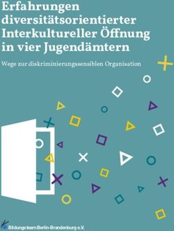 Erfahrungen diversitätsorientierter Interkultureller Öffnung in vier Jugendämtern - Wege zur diskriminierungssensiblen Organisation