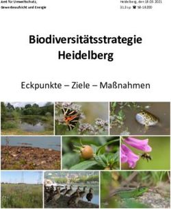Biodiversit&auml;tsstrategie Heidelberg - Eckpunkte - Ziele - Ma&szlig;nahmen